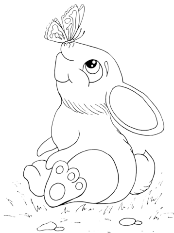 Rabbit With Butterfly On His Nose Coloring Page